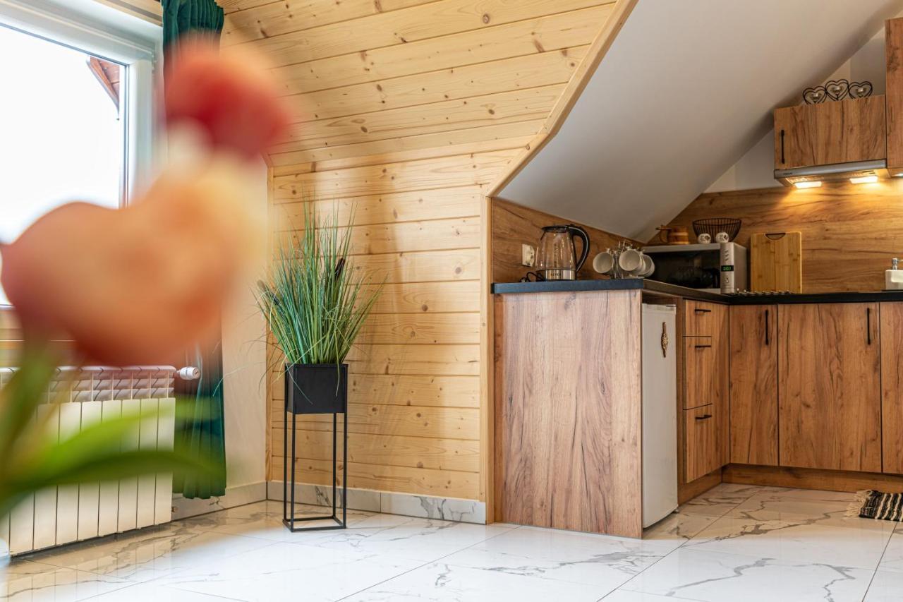 Widokowy Apartament - Pokoje Goscinne Banska Wyzna Ngoại thất bức ảnh